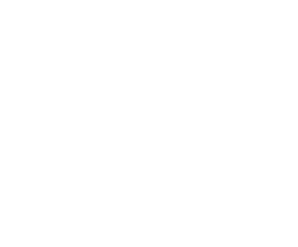 DC Shoes