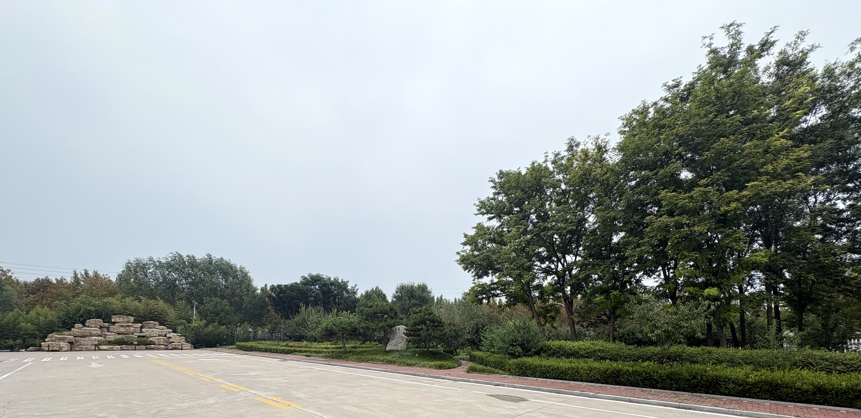Tree-lined Avenue